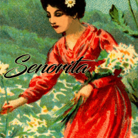 Senorita - Instrumental W/ Backing Vocals cover
